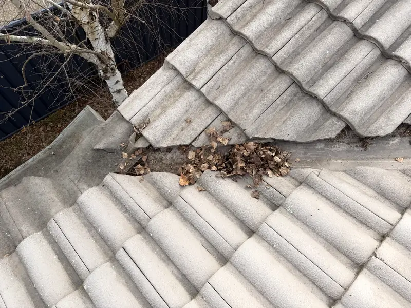 Leaves and debris blocking a roof valley, a common cause of leaks